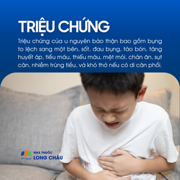 U nguyên bào thận 2