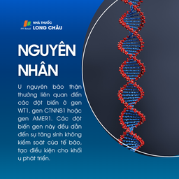 U nguyên bào thận 3