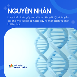 U sợi thần kinh 3