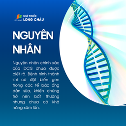 Ung thư biểu mô ống dẫn sữa tại chỗ 3