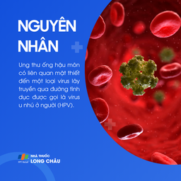 Ung thư ống hậu môn 3