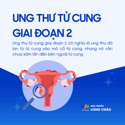 Ung thư tử cung giai đoạn 2 1