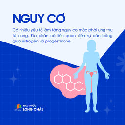 Ung thư tử cung giai đoạn 2 4