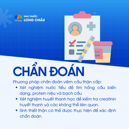 Viêm cầu thận cấp 5