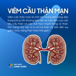 Viêm cầu thận mạn 1