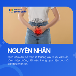 Viêm đài bể thận 3