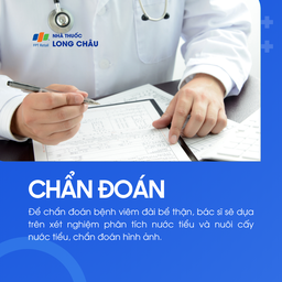 Viêm đài bể thận 5