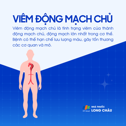 Viêm động mạch chủ 1
