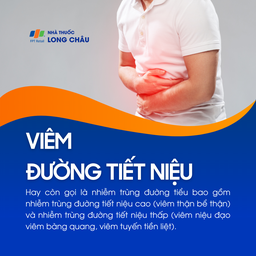 Viêm đường tiết niệu là nhiễm trùng đường tiểu gồm viêm thận bể thận (cao) và viêm niệu đạo, bàng quang, tuyến tiền liệt (thấp)
