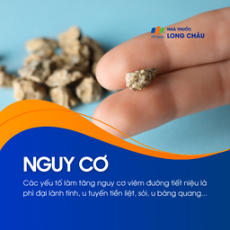 Các yếu tố tăng nguy cơ viêm tiết niệu là phì đại lành tính, u tuyến tiền liệt, sỏi, u bàng quang