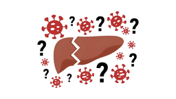 Viêm gan bí ẩn​ là gì? Triệu chứng, nguyên nhân, chẩn đoán, điều trị và phòng ngừa 1