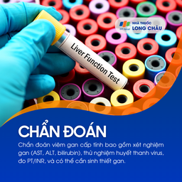 Viêm gan cấp tính 5