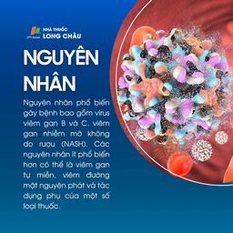 Viêm gan mạn tính 3