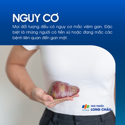 Viêm gan mạn tính 4