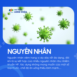 Viêm hang vị dạ dày 3