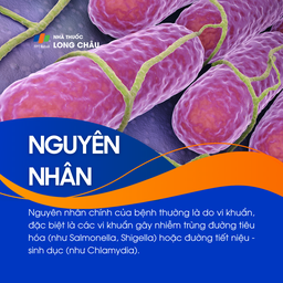 Viêm khớp phản ứng 3