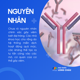 Viêm loét đại tràng 3