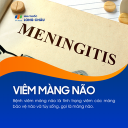 Viêm màng não 1