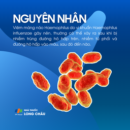 Bệnh viêm màng não do Haemophilus 3