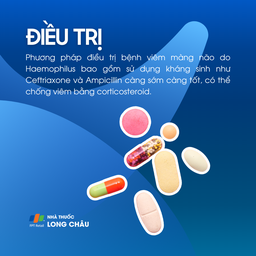 Bệnh viêm màng não do Haemophilus 6