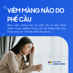 Viêm màng não do phế cầu 1