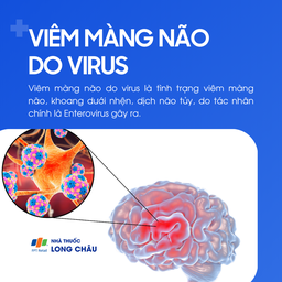 Viêm màng não do virus 1