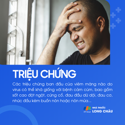 Viêm màng não do virus 2