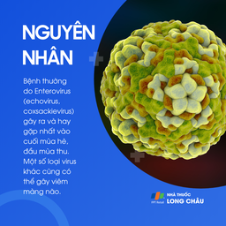 Viêm màng não do virus 3