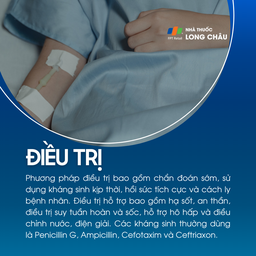 Viêm màng não mô cầu 6