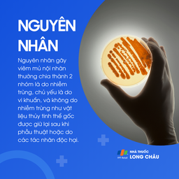 Viêm mủ nội nhãn 3