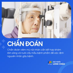 Viêm mủ nội nhãn 5