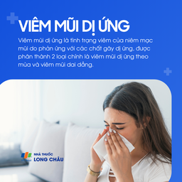 Viêm mũi dị ứng 1