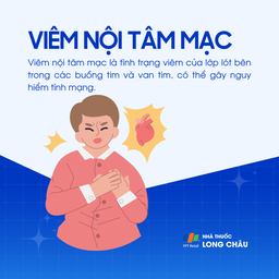 Viêm nội tâm mạc 1