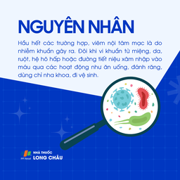 Viêm nội tâm mạc 3