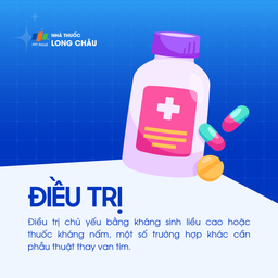 Viêm nội tâm mạc 6