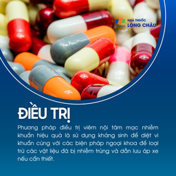 Viêm nội tâm mạc nhiễm khuẩn 7