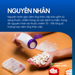 Viêm ống thận cấp 3