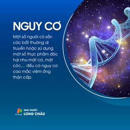 Viêm ống thận cấp 4