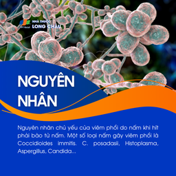 Viêm phổi do nấm 3