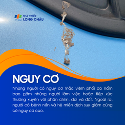 Viêm phổi do nấm 4