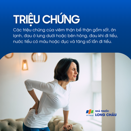 Viêm thận bể thận 2