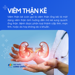 Viêm thận kẽ 1