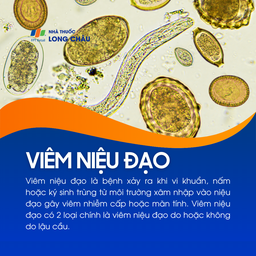 Viêm niệu đạo 1