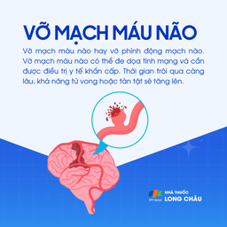 Vỡ mạch máu não 1