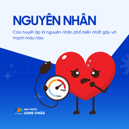 Vỡ mạch máu não 3