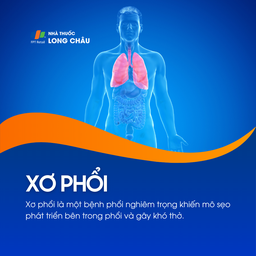 Xơ phổi 1