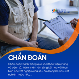 Xoắn tinh hoàn 5