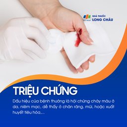 Xuất huyết giảm tiểu cầu 2