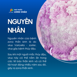 Nguyên nhân bệnh zona thần kinh do virus thủy đậu tái hoạt động