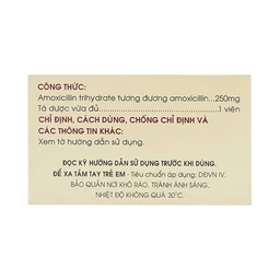 Thuốc Amoxicillin 250mg Mekophar điều trị nhiễm khuẩn (10 vỉ x 10 viên)